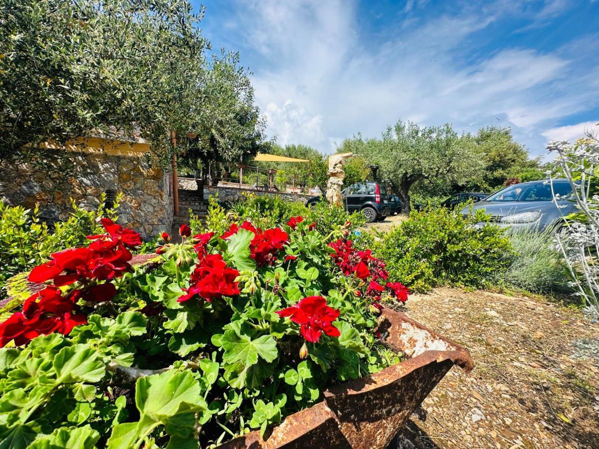 Villetta Starza Marina di Camerota Εξωτερικό φωτογραφία